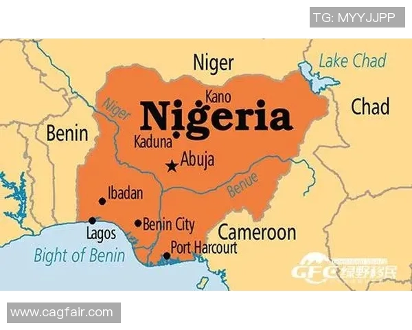 尼日利亚与几内亚2019年精彩对决回顾与分析